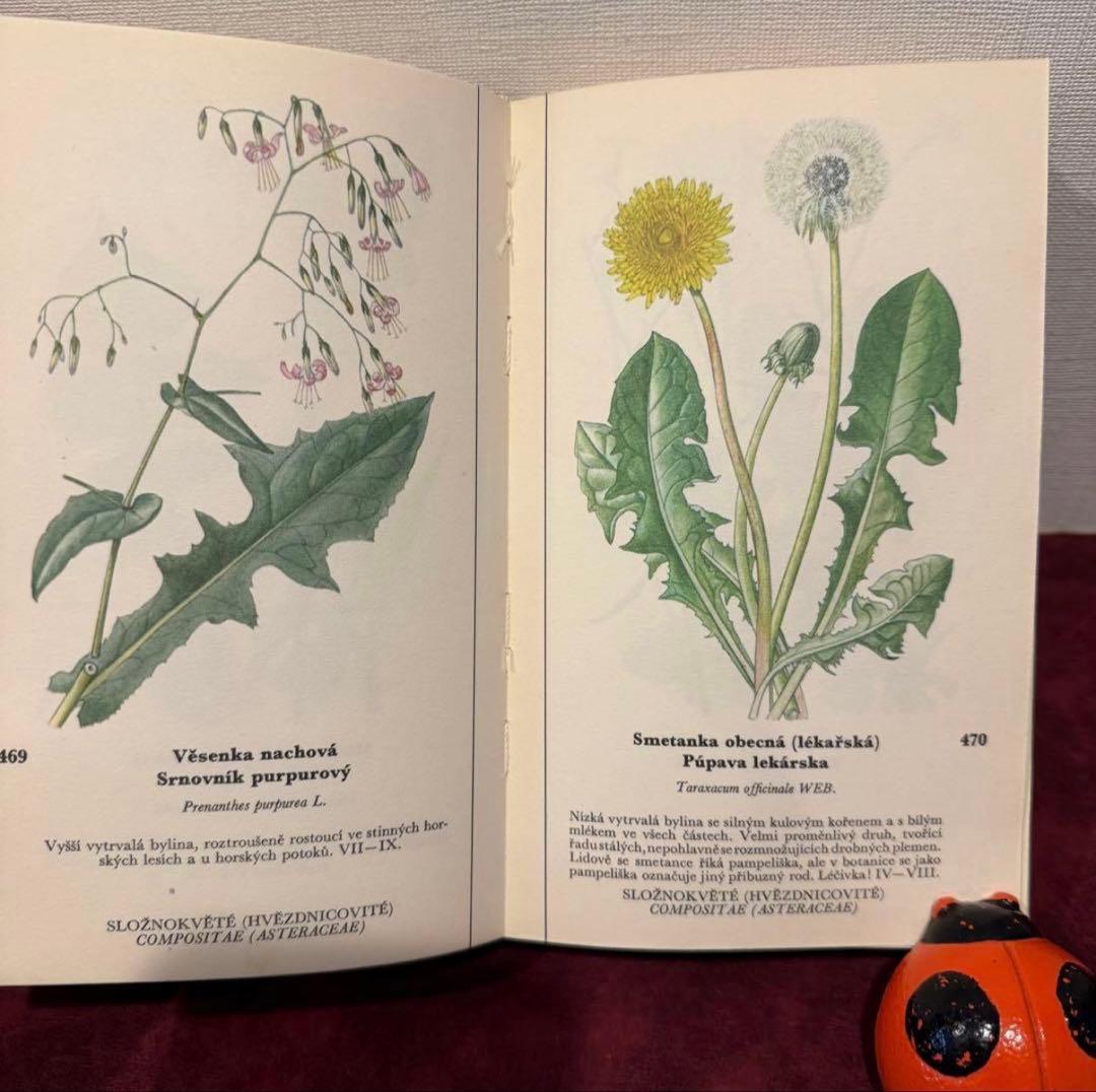 129①チェコ植物図鑑　2冊セット　洋書古書　ジャンクジャーナル　ボタンニカル