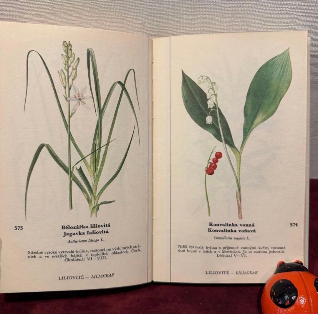 129①チェコ植物図鑑　2冊セット　洋書古書　ジャンクジャーナル　ボタンニカル