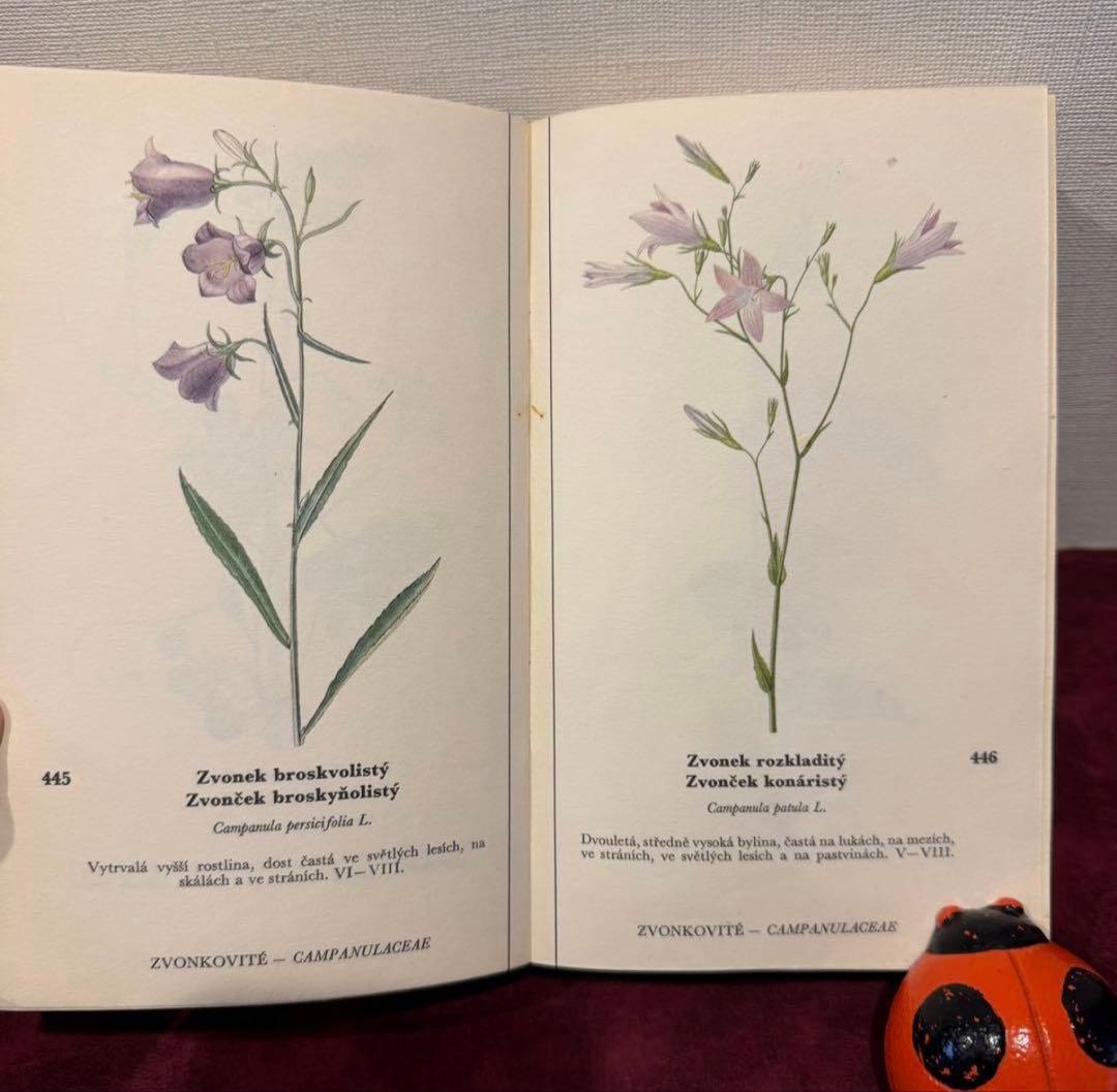 129①チェコ植物図鑑　2冊セット　洋書古書　ジャンクジャーナル　ボタンニカル