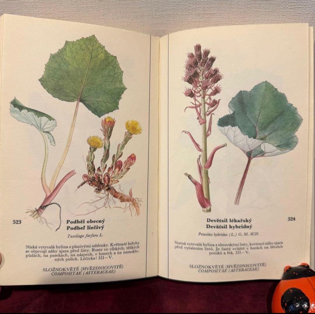 129①チェコ植物図鑑　2冊セット　洋書古書　ジャンクジャーナル　ボタンニカル