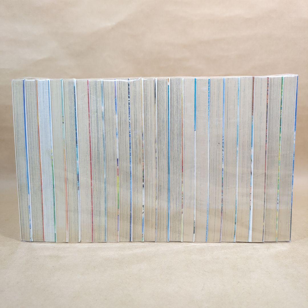 北の土龍 コミック 全21巻完結セット (ヤングジャンプコミックス)