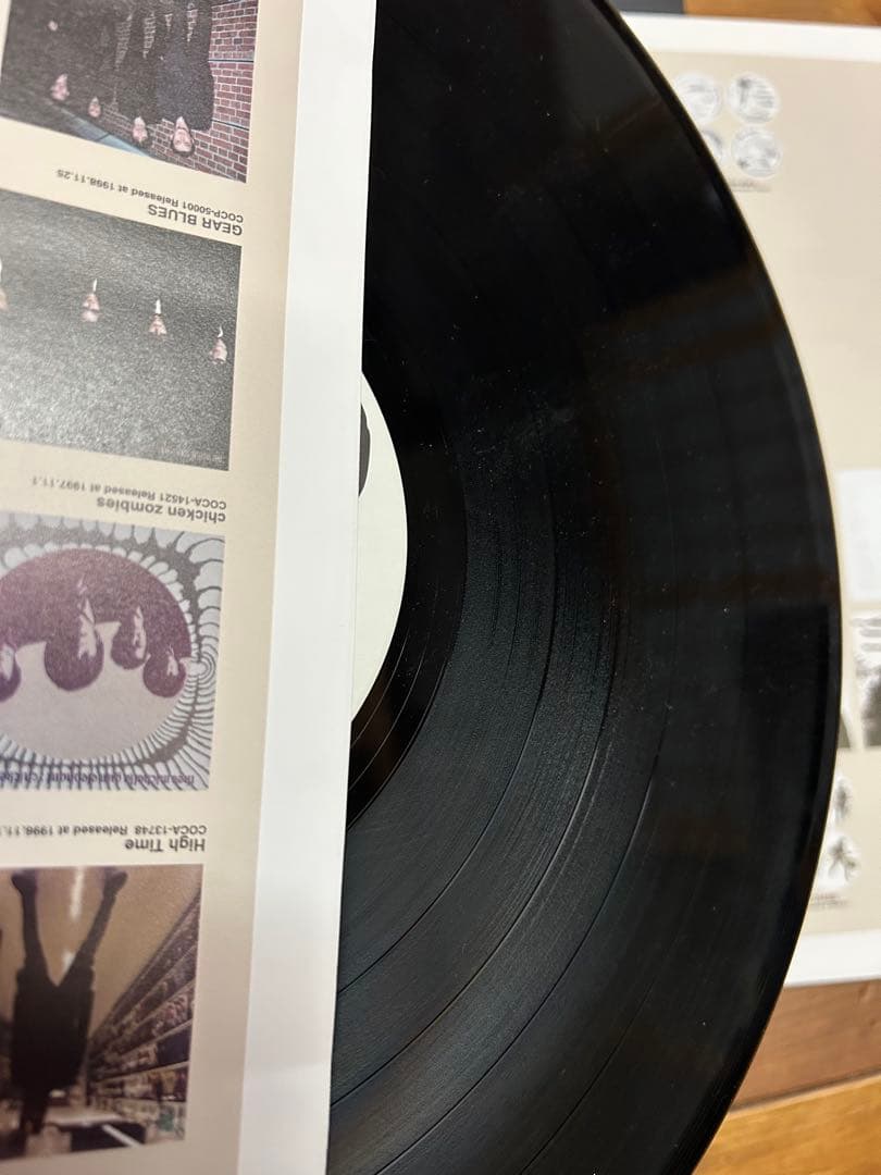 ミッシェルガンエレファント　106 レコード2枚組