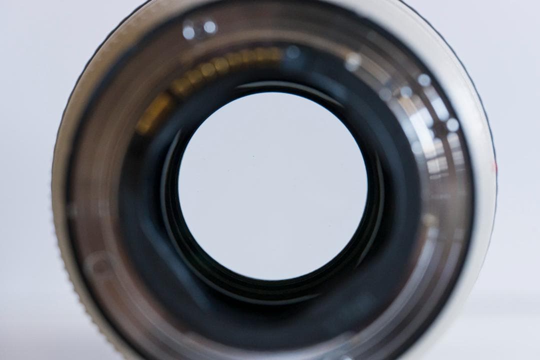 Canon EF70-200mm F2.8L IS USM＋1.4x ※難あり