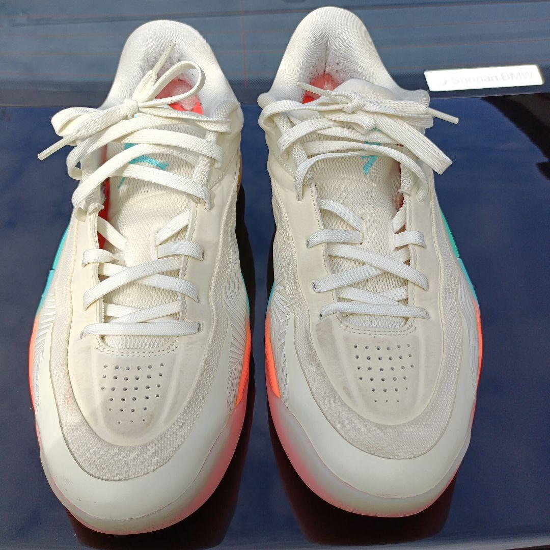 値下げ交渉可JORDAN ザイオン 4 PF Low Country 30㎝