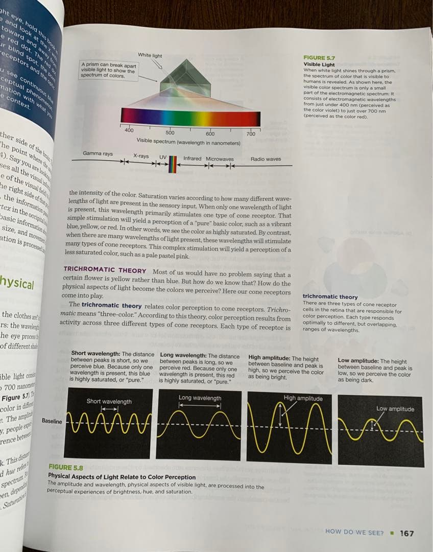 洋書 Psychology in Your Life second edition