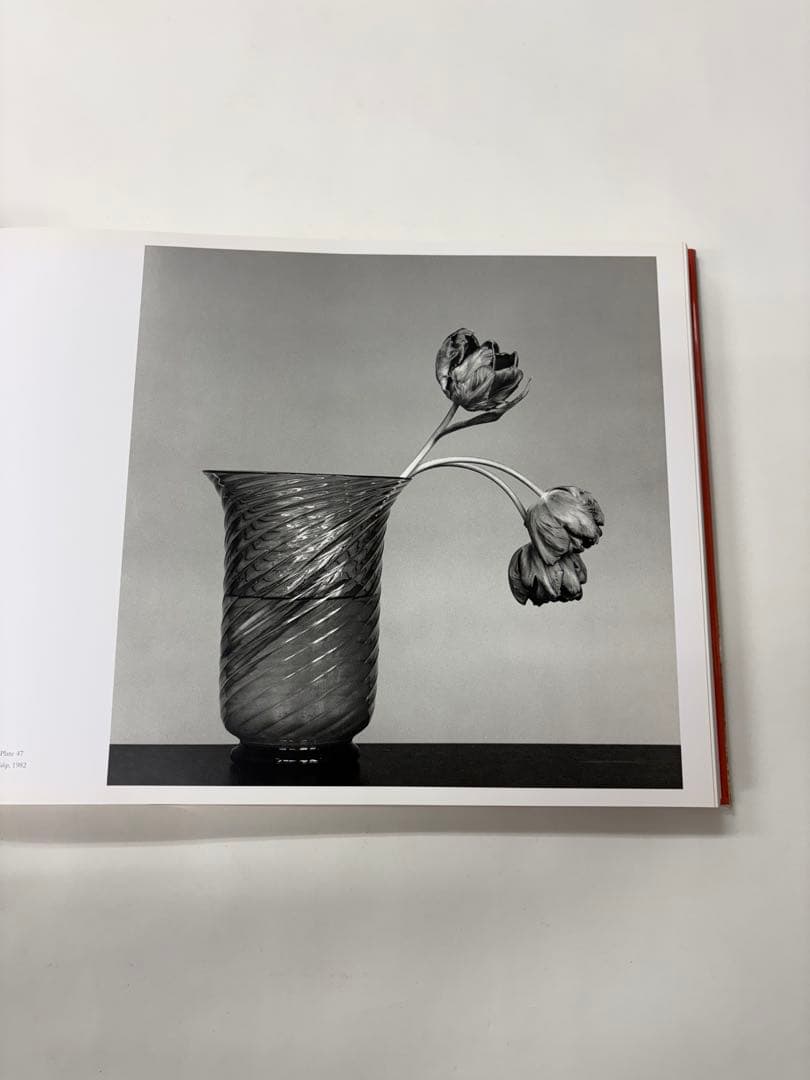 MAPLETHORPE: THE COMPLETE FLOWERS ※外箱付き