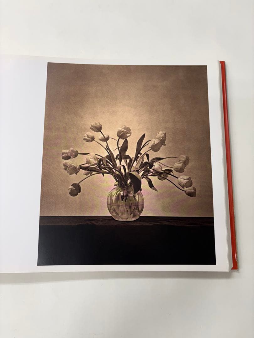 MAPLETHORPE: THE COMPLETE FLOWERS ※外箱付き