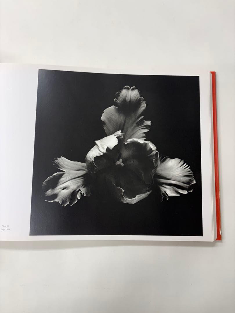 MAPLETHORPE: THE COMPLETE FLOWERS ※外箱付き