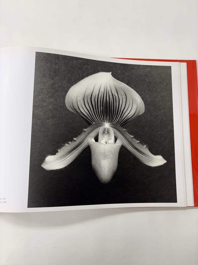 MAPLETHORPE: THE COMPLETE FLOWERS ※外箱付き