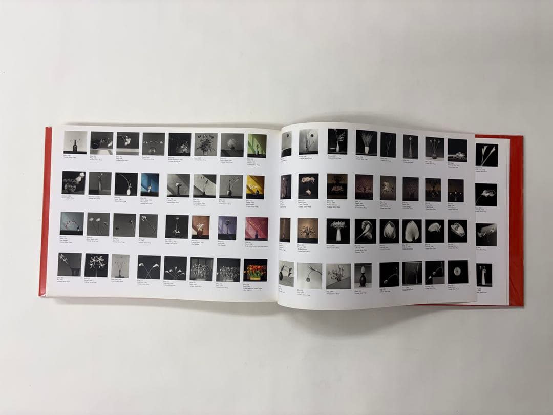 MAPLETHORPE: THE COMPLETE FLOWERS ※外箱付き