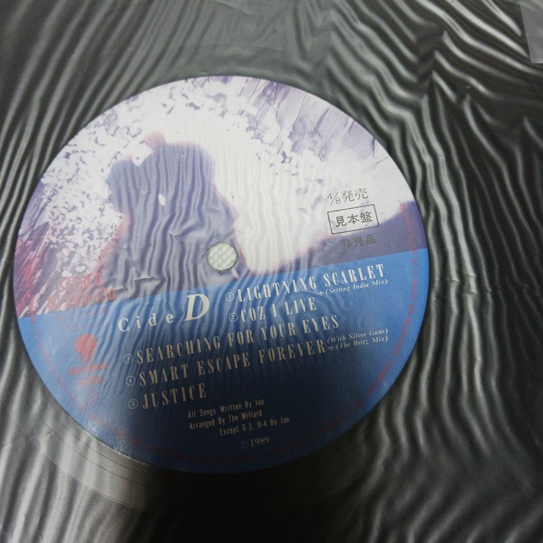 見本盤　WILLARD GONE WITH THE WIND レコード