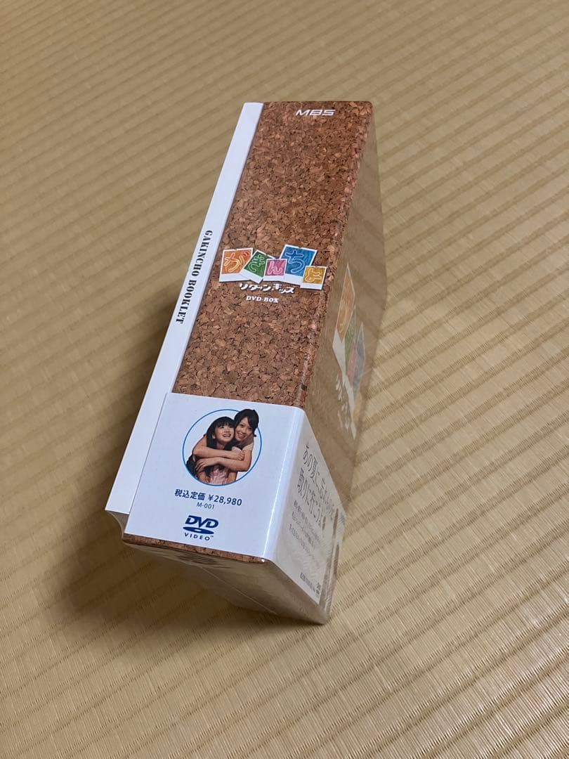 がきんちょ 〜リターン・キッズ 〜DVD-BOX 新品・未開封品・コレクション品