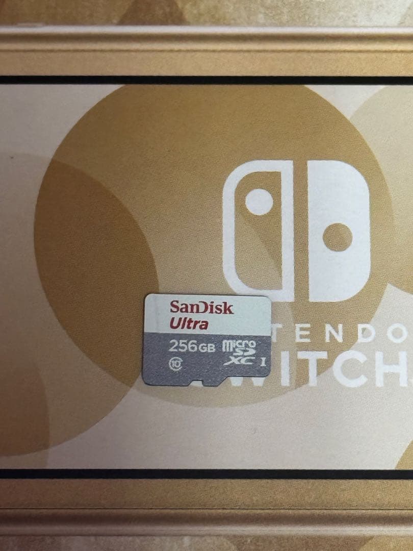 Switch Light 本体 Hyrule 256GB microSD付き