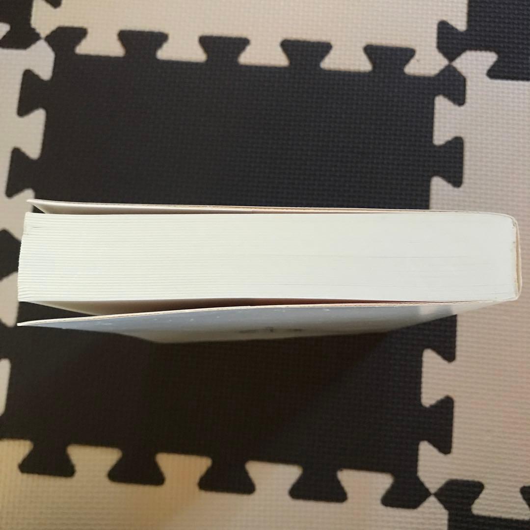 相似象学会誌　相似象　第１４号