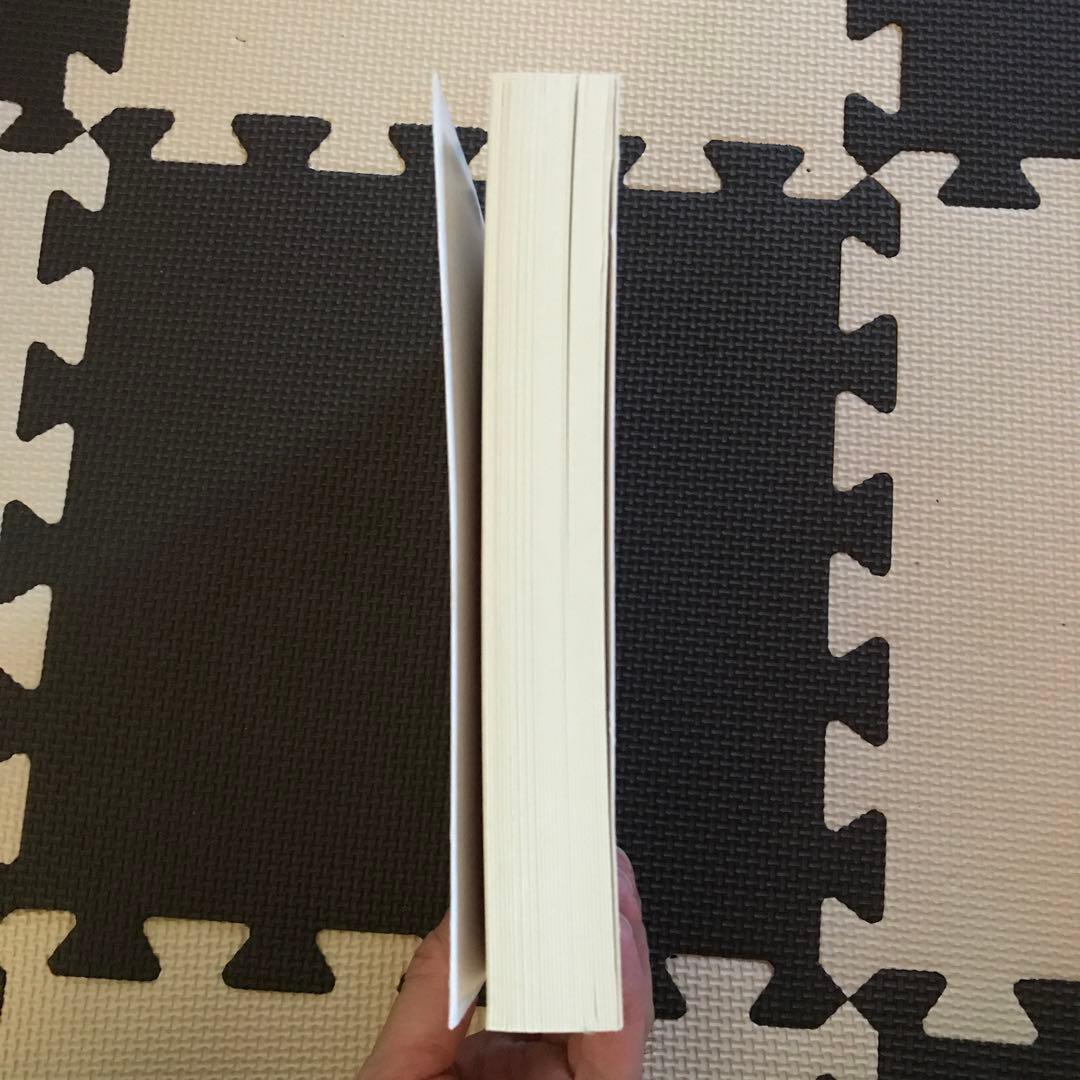 相似象学会誌　相似象　第１４号