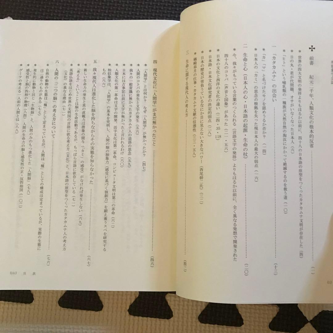 相似象学会誌　相似象　第１４号