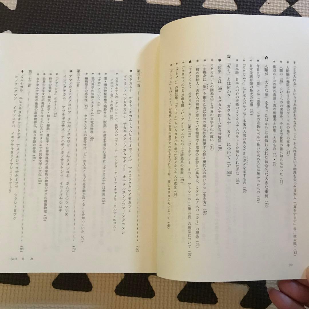 相似象学会誌　相似象　第１４号