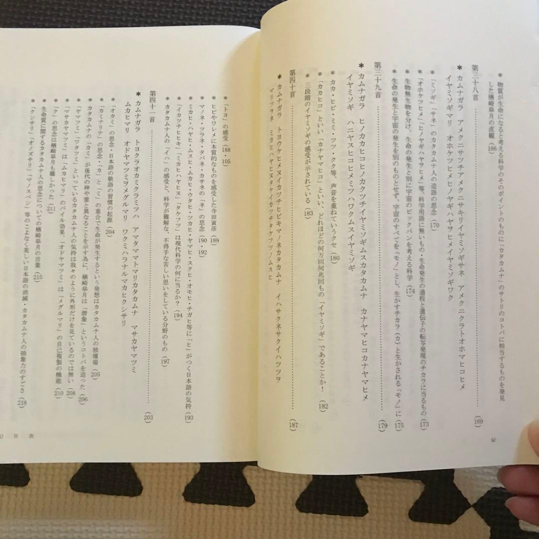 相似象学会誌　相似象　第１４号