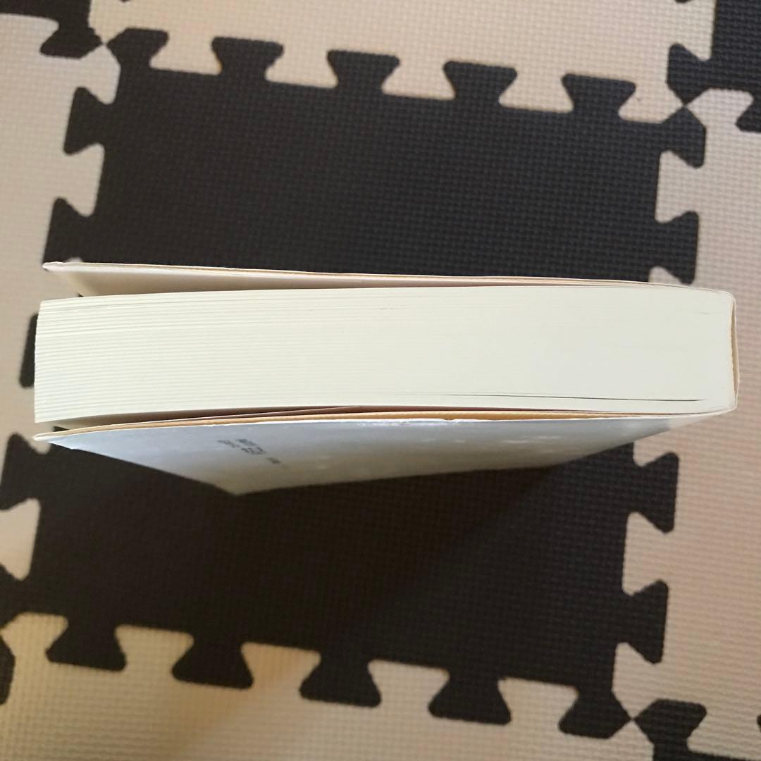 相似象学会誌　相似象　第１４号