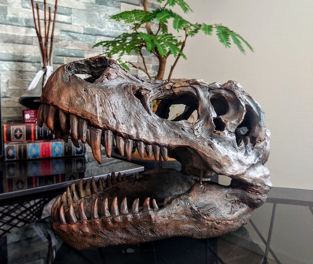 【DINOWORLD】ティラノサウルス 頭骨 化石 ジュラシックパーク