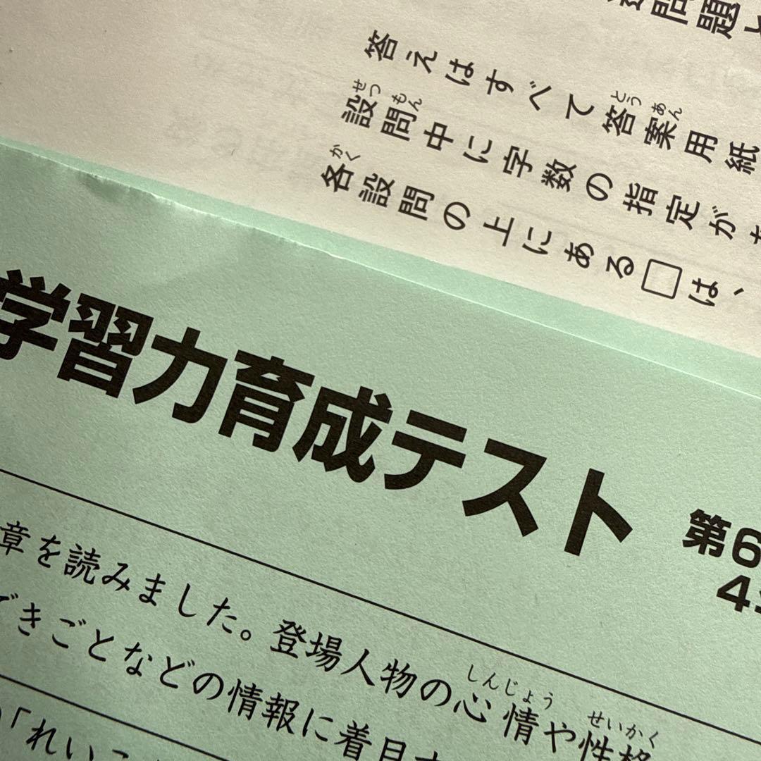 日能研 4年生 学力育成テスト 後期セット