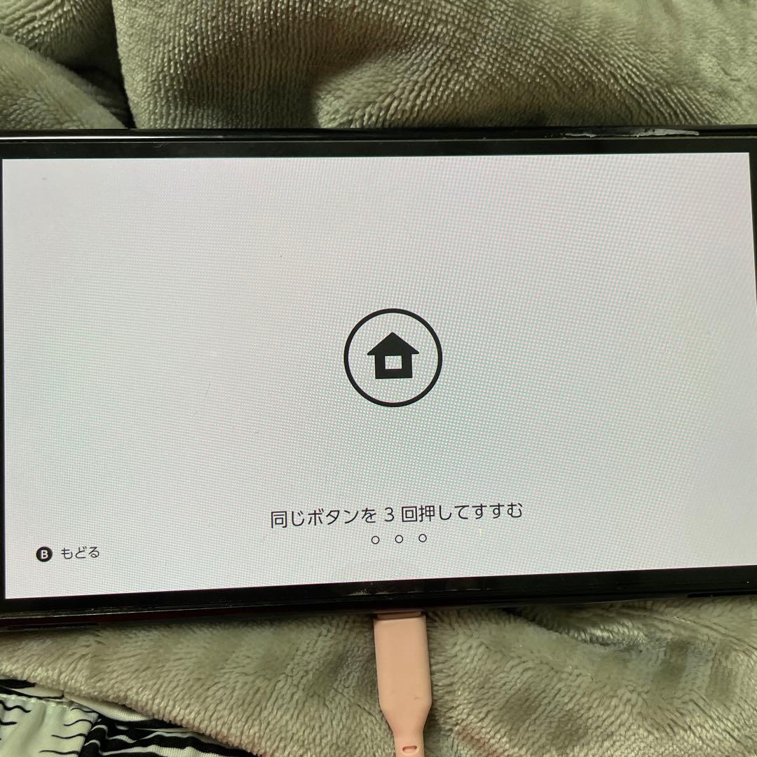 NintendoSwitchモンハンライズ(全クリ)カセット付き充電コード付き