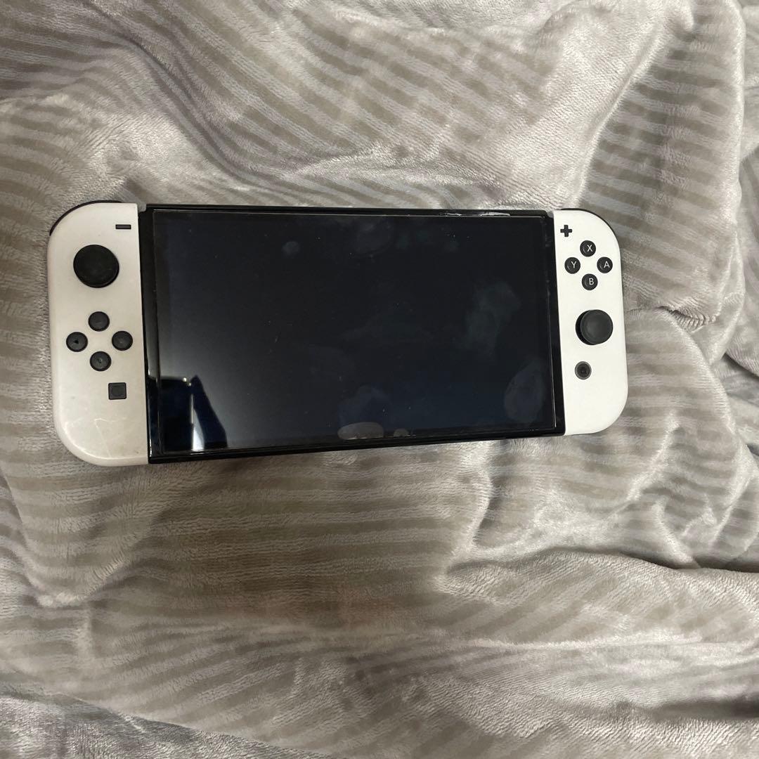 NintendoSwitchモンハンライズ(全クリ)カセット付き充電コード付き