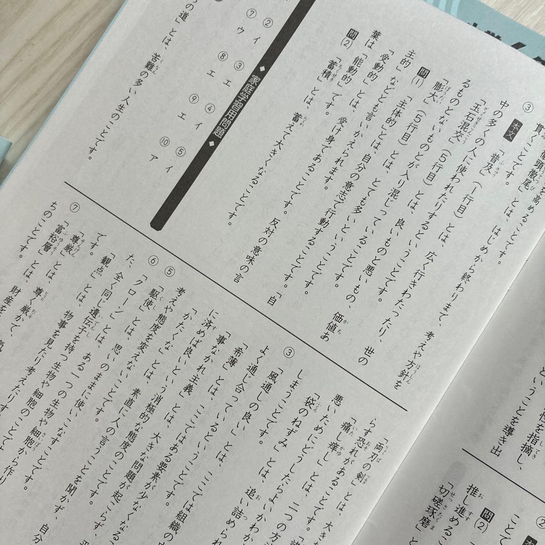 2025年受験組 サピックス6年 国語教材セット