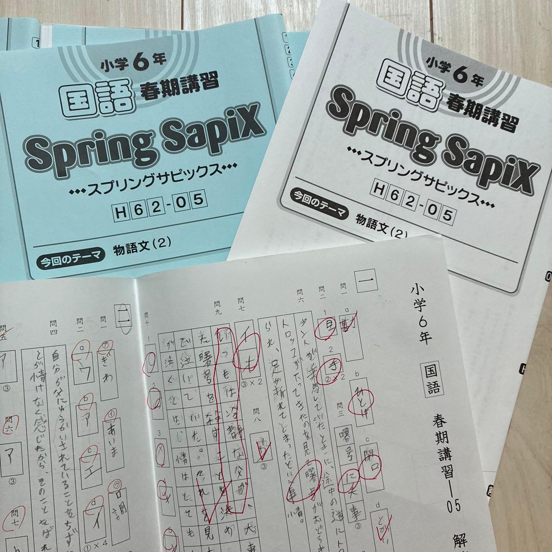 2025年受験組 サピックス6年 国語教材セット