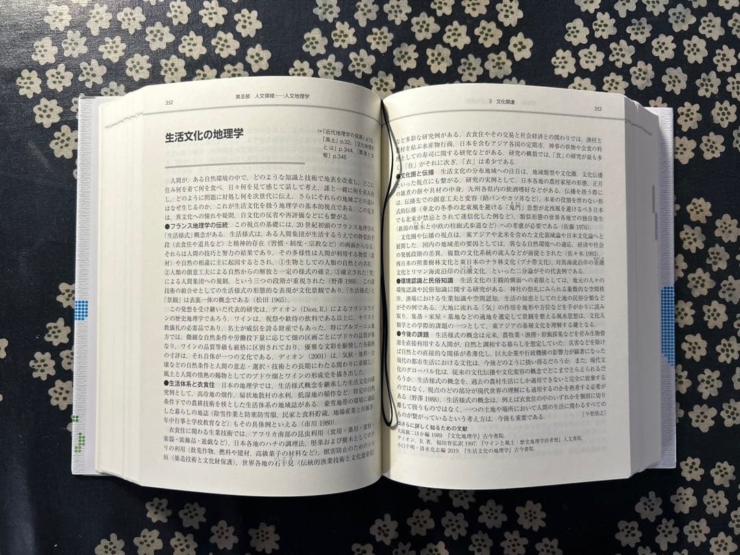 地理学事典 丸善出版