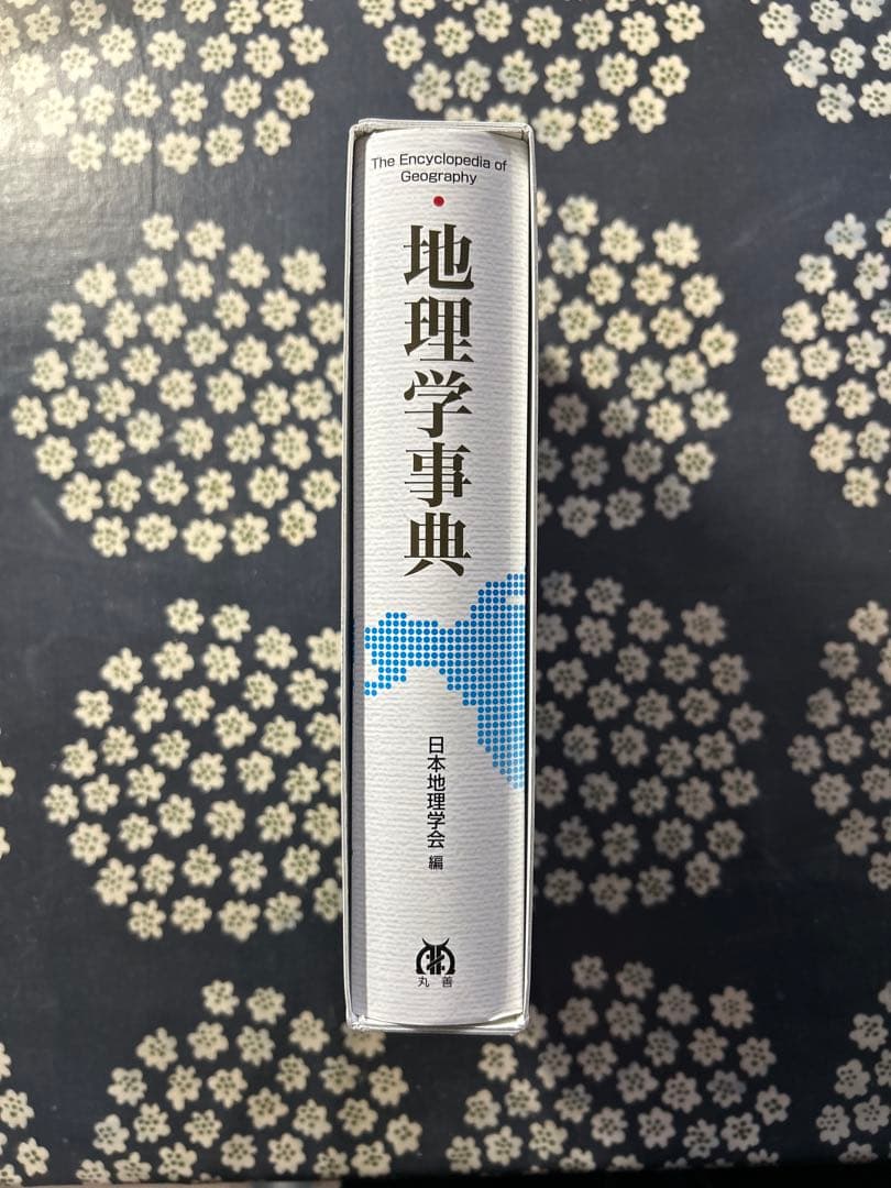 地理学事典 丸善出版
