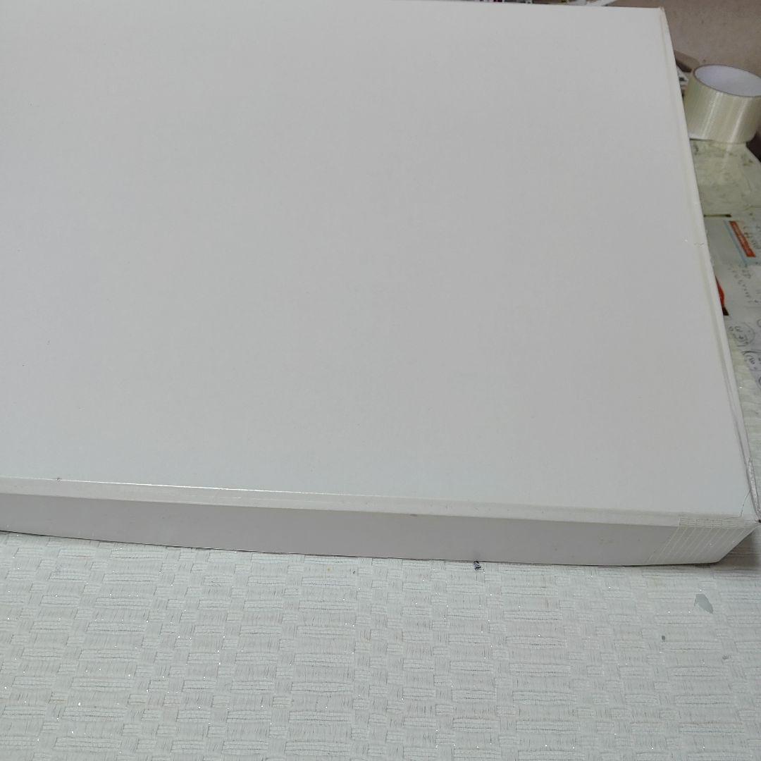 川添日記草木彫大皿桜