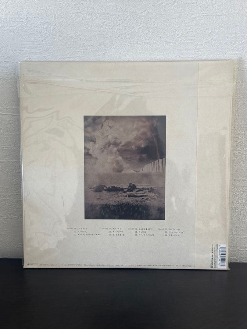 ドレスコーズ ジャズ　LPレコード 志磨遼平　毛皮のマリーズ