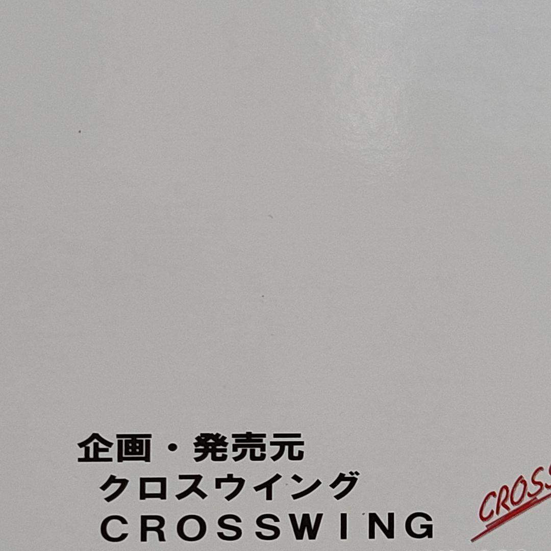 エアドゥ 北海道　ボーイング767-300　ホーガンウィングス