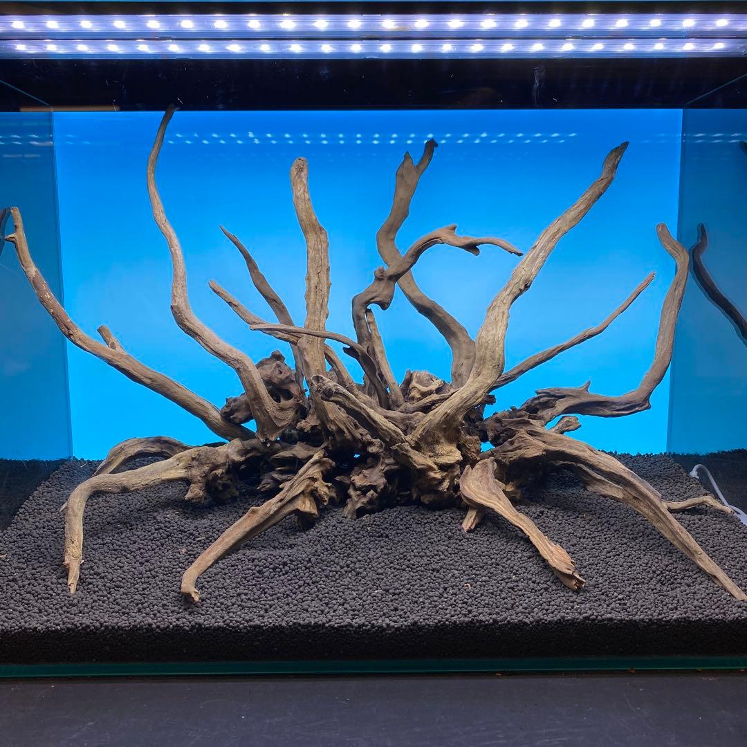 MSRW-6756 スリムウッドレイアウトセット　60cm水槽用流木アクアリウム