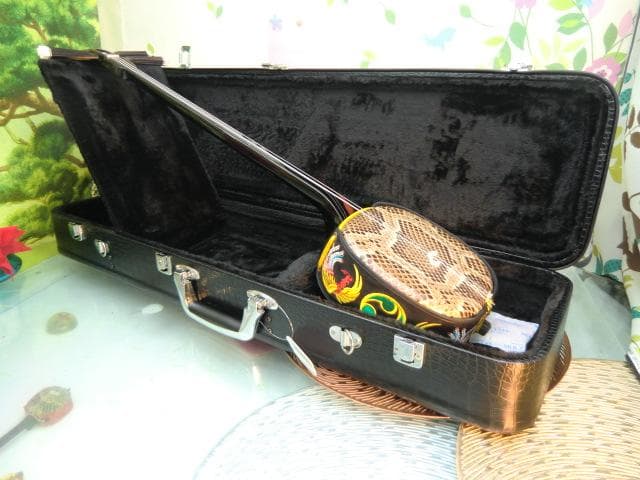 新品未使用(送料無料)11.980円　沖縄三線専用　一丁入ふかふかハードケース