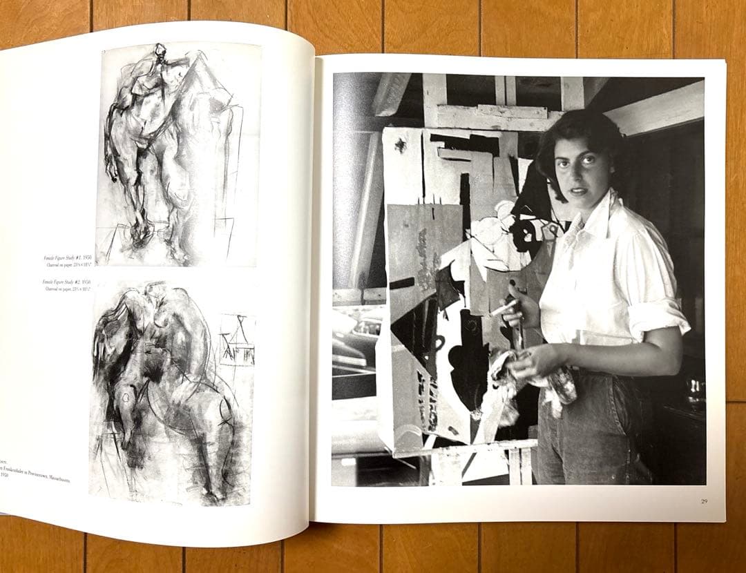 【稀少】Frankenthaler/ヘレン・フランケンサーラー 画集 作品集