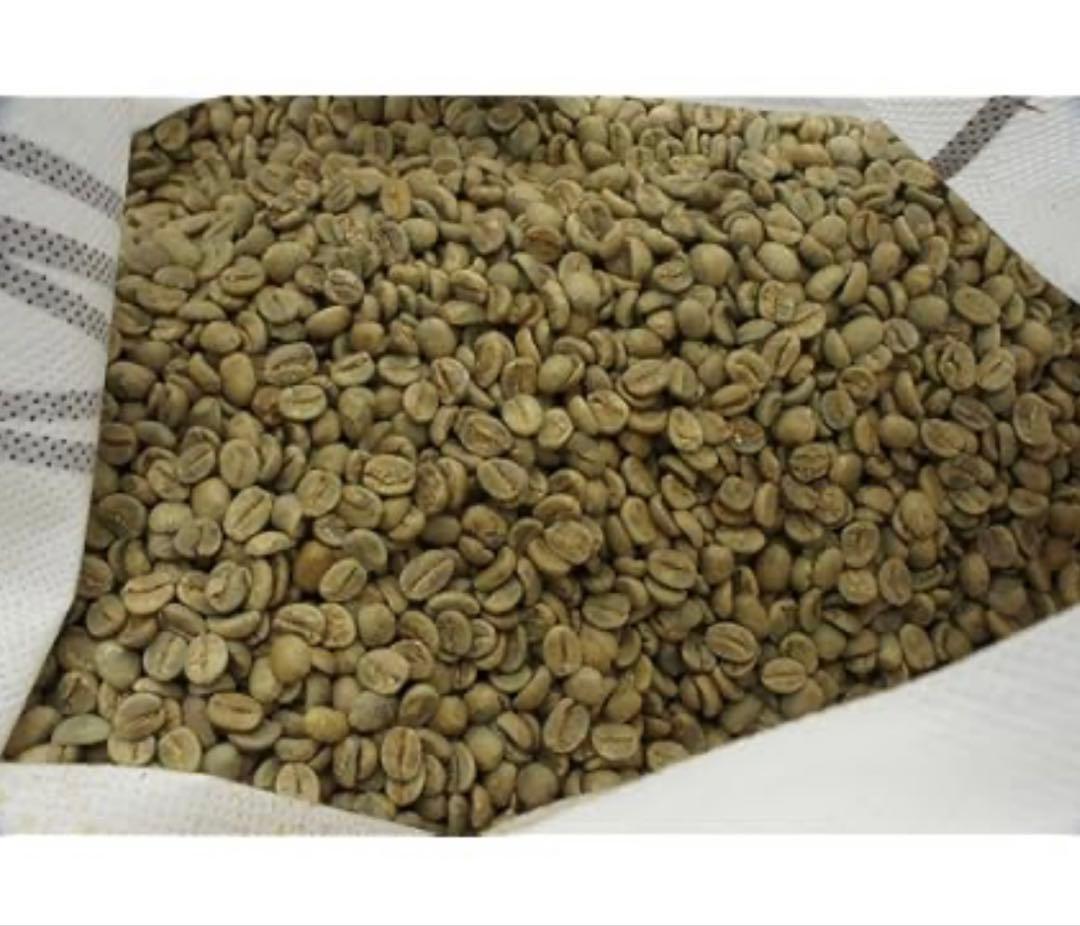 ケニア マサイ AA 生豆5キロ