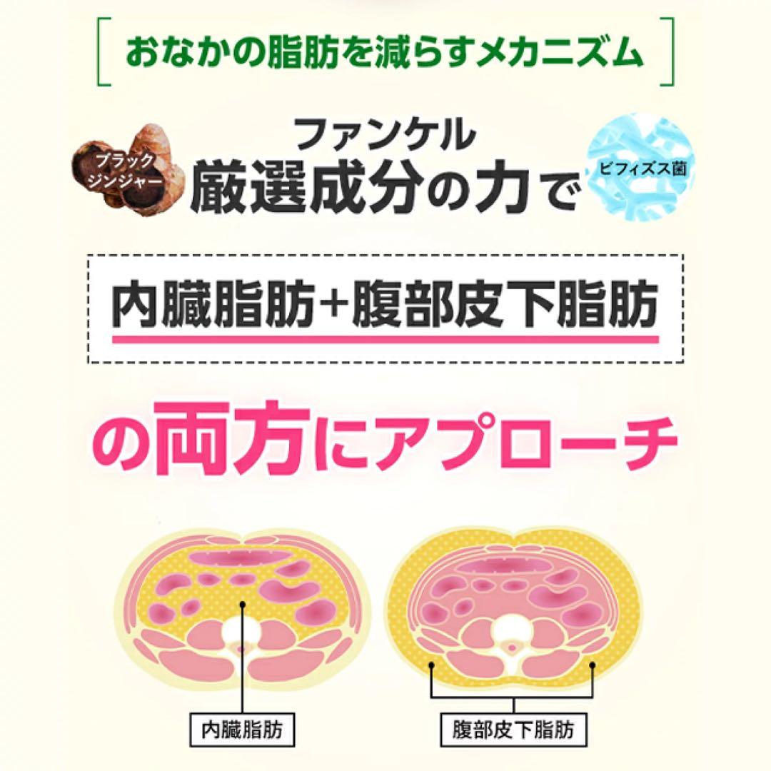 ファンケル 内脂サポート 30日分5袋〈150日分+増量〉