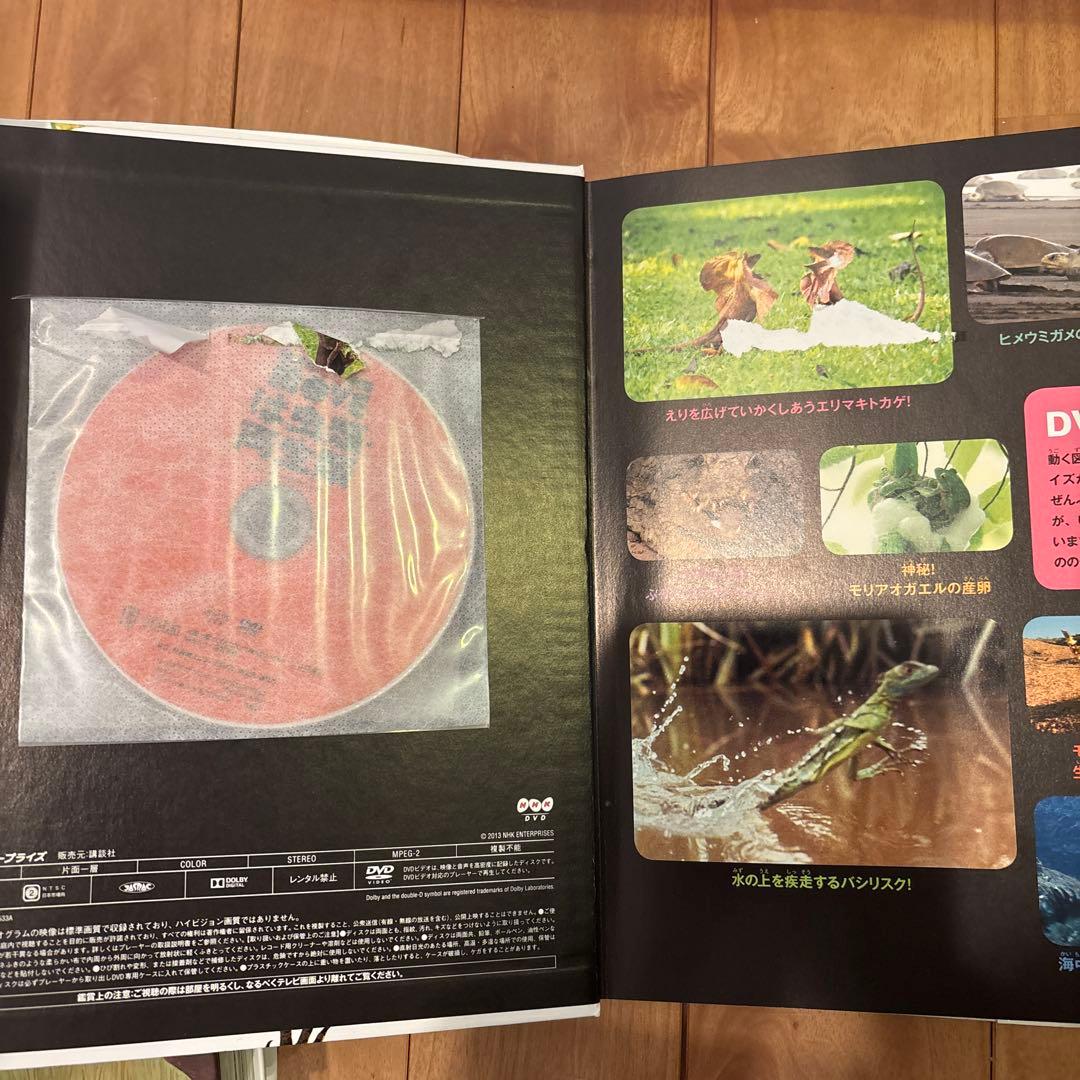 move 図鑑 11冊セット　DVD付き