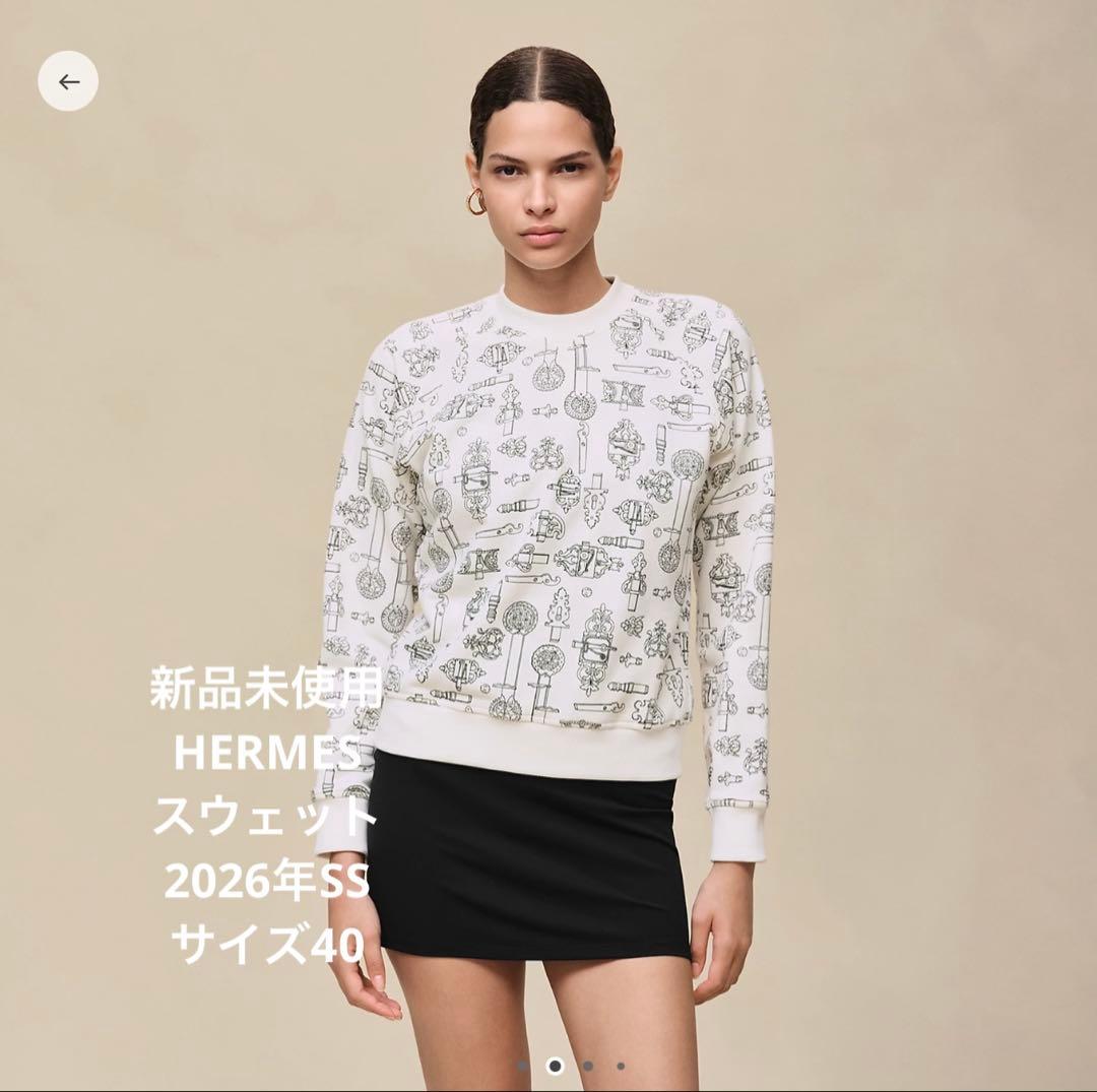 HERMESスウェットシャツ 《フェロヌリー・リミックス》プリント #40