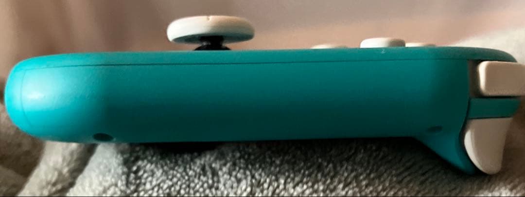 Nintendo Switch Lite ターコイズ ⚠︎︎ジャンク品　価格交渉可