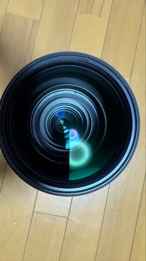 SIGMA 150-600mm F5-6.3 DG CANON用