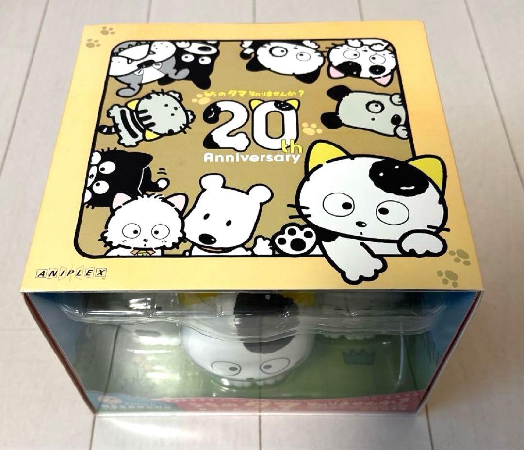 レア DVD うちのタマ知りませんか? 20周年記念