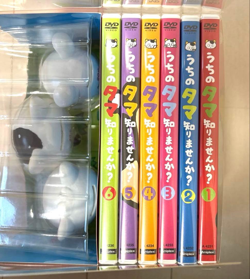 レア DVD うちのタマ知りませんか? 20周年記念