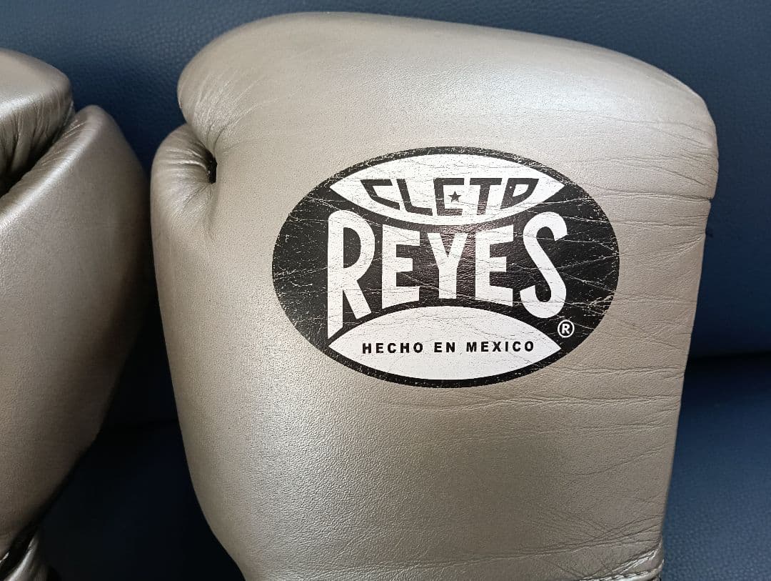 CLETO REYES プロフェッショナル ボクシンググローブ シルバー