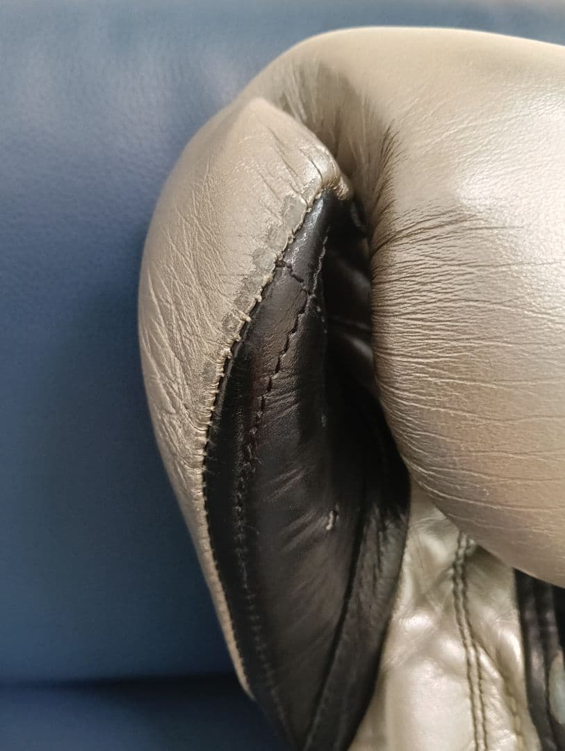 CLETO REYES プロフェッショナル ボクシンググローブ シルバー