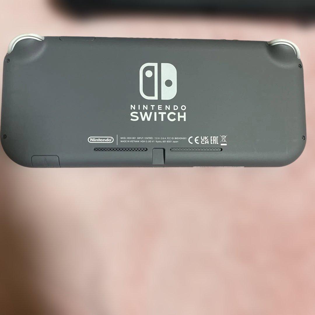 ヒ*ン様 Nintendo Switch Lite グレー 本体 充電器、ケース