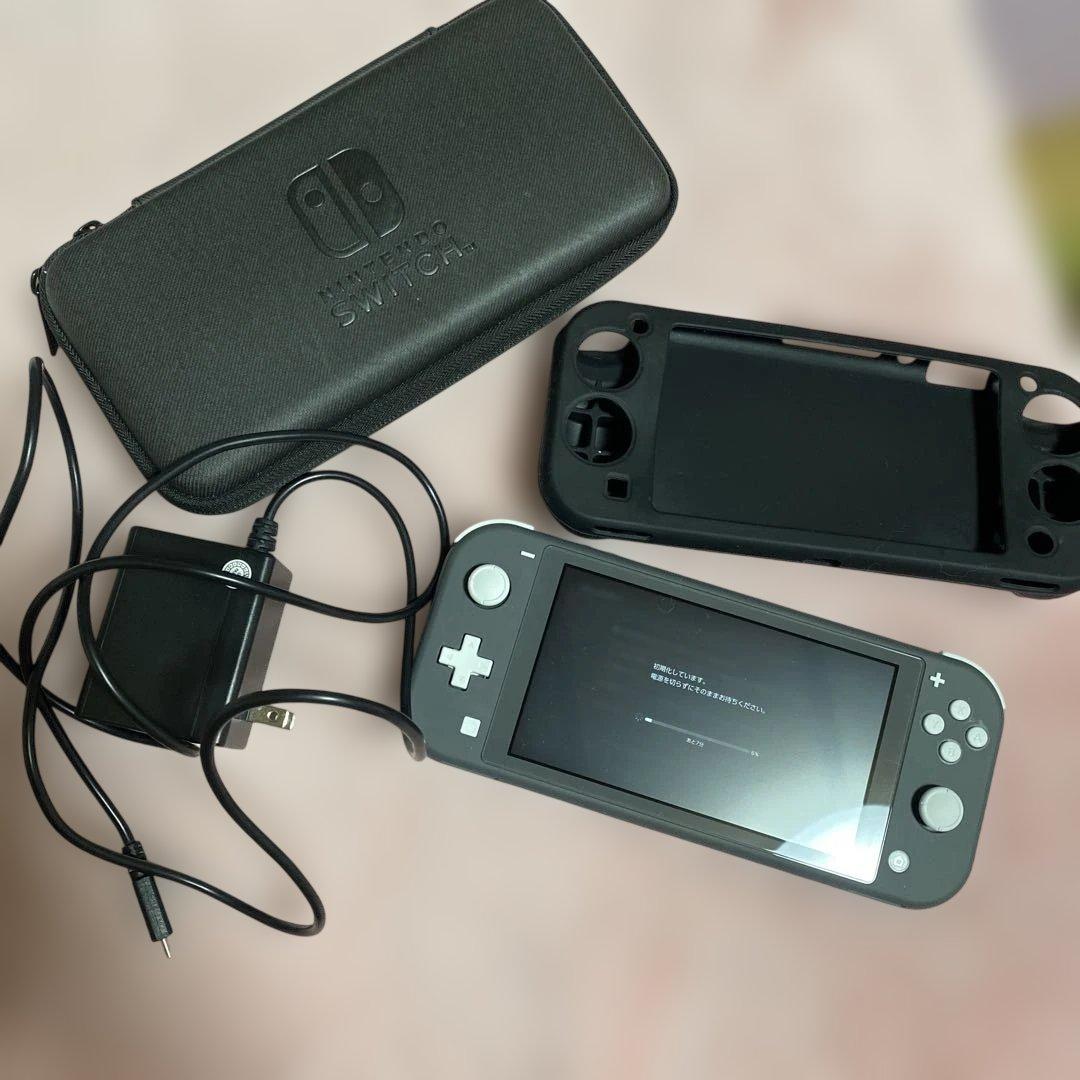 ヒ*ン様 Nintendo Switch Lite グレー 本体 充電器、ケース