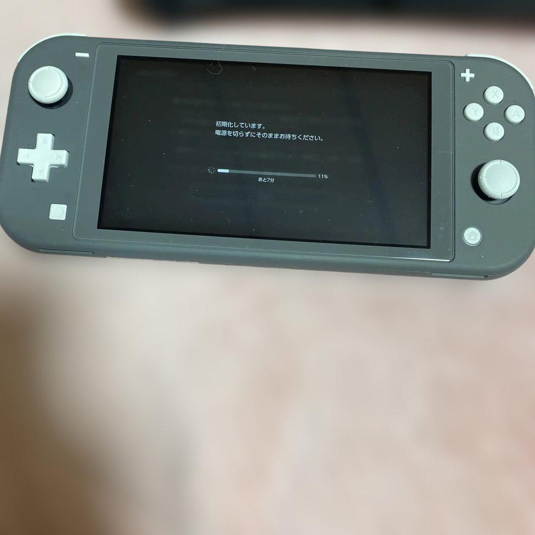 ヒ*ン様 Nintendo Switch Lite グレー 本体 充電器、ケース
